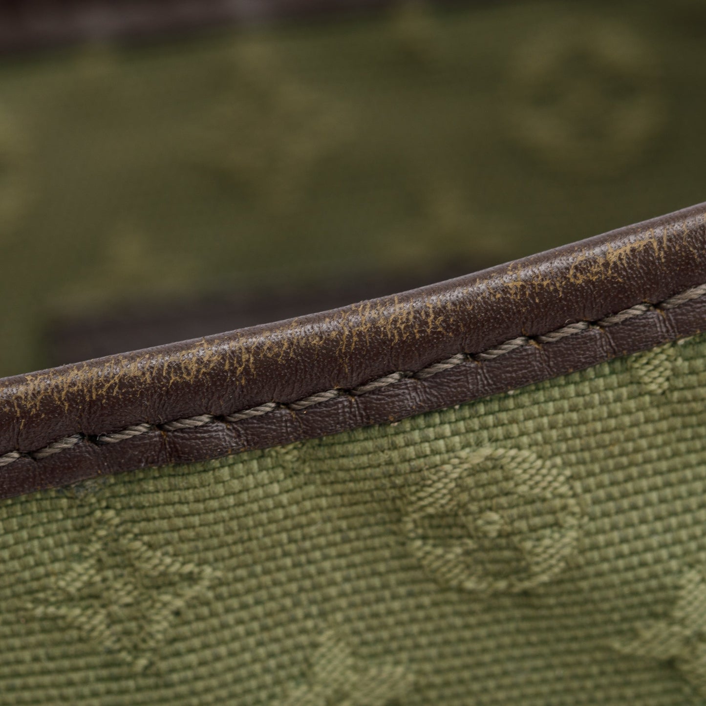 Louis Vuitton Green Monogram Mini Lin Mary Kate Besace