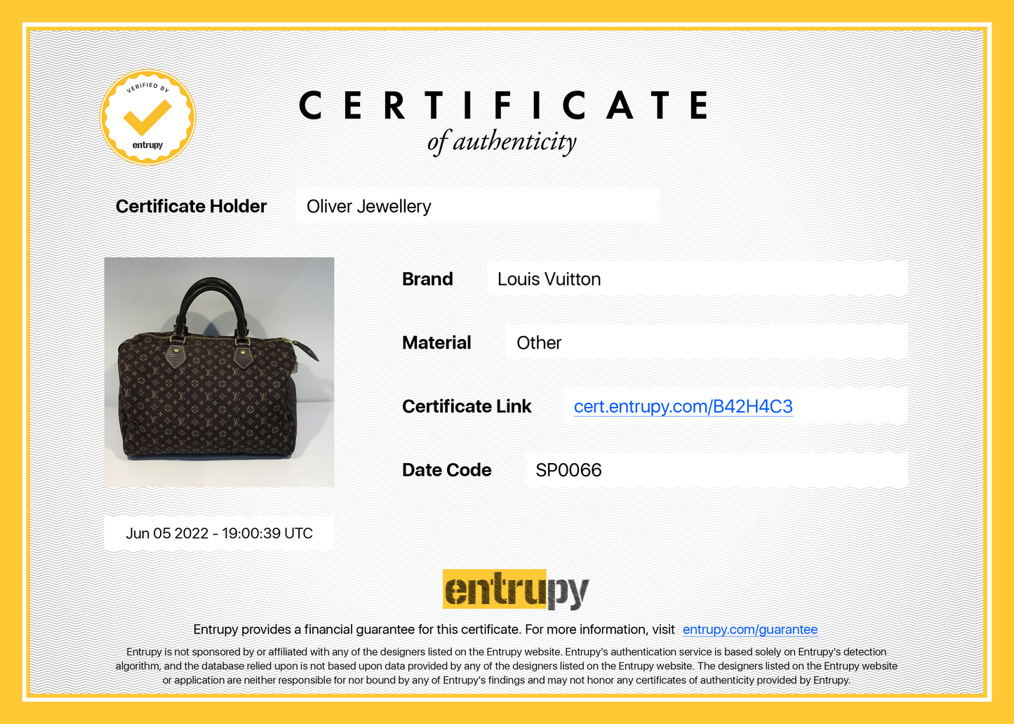 Louis Vuitton Mini Lin Speedy 30