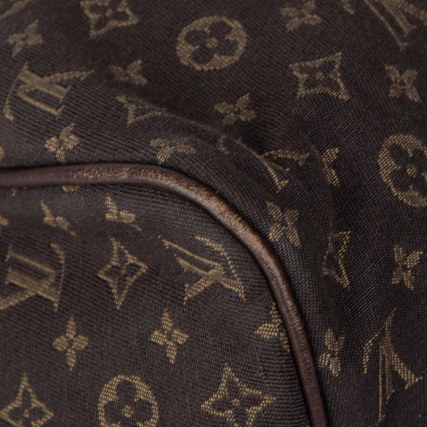 Louis Vuitton Mini Lin Speedy 30