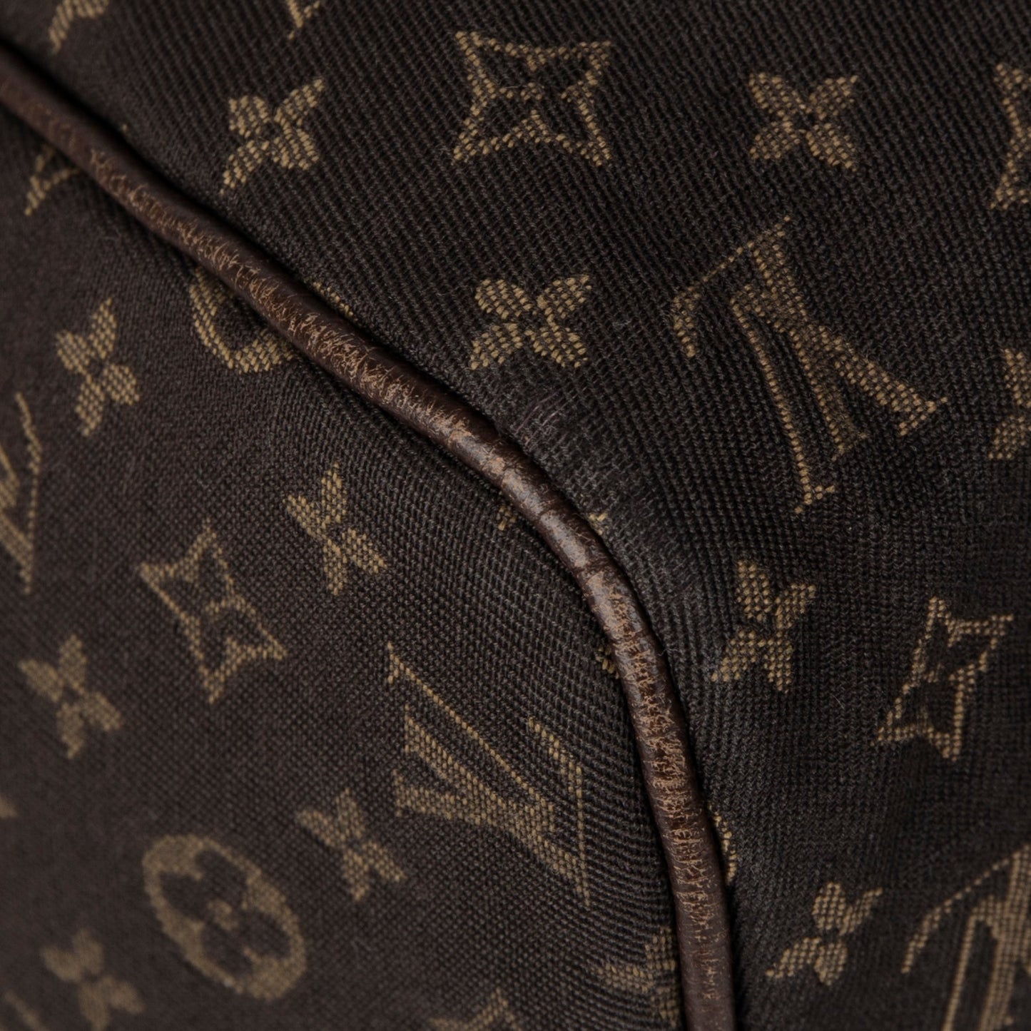 Louis Vuitton Mini Lin Speedy 30