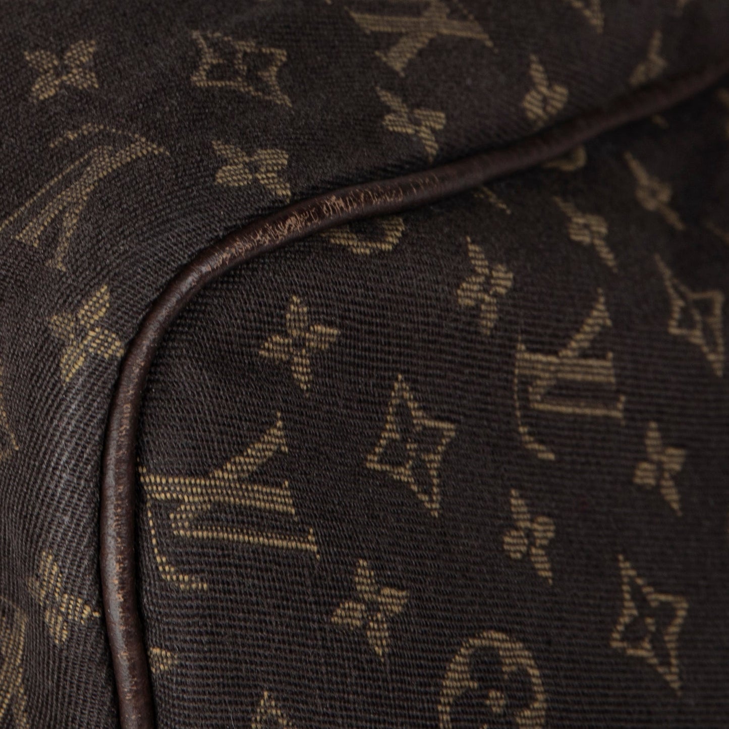 Louis Vuitton Mini Lin Speedy 30