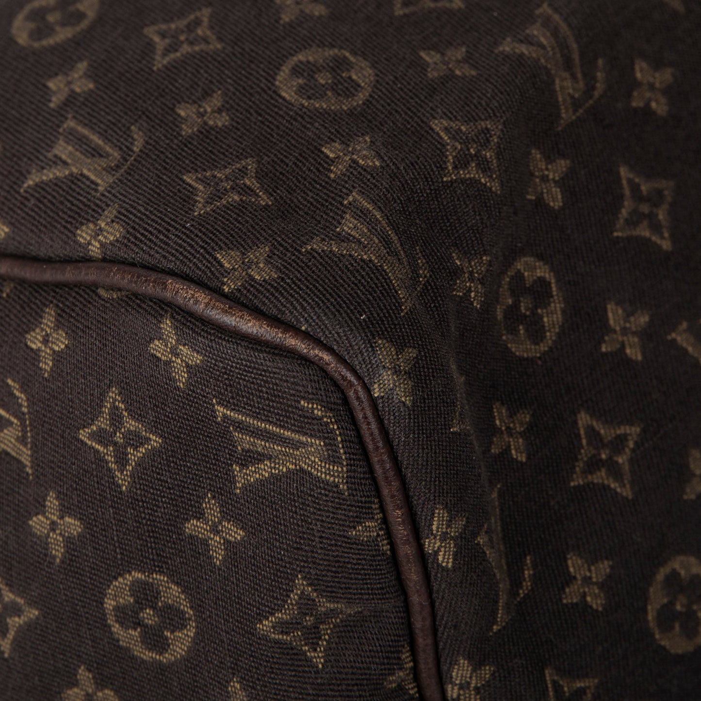 Louis Vuitton Mini Lin Speedy 30