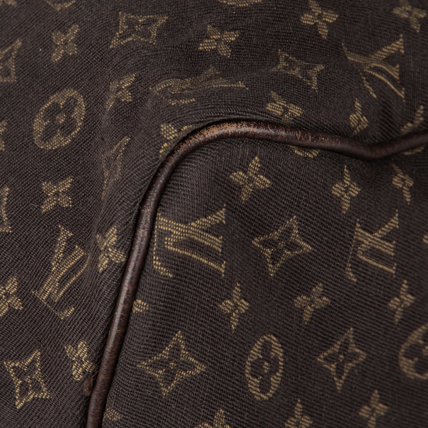 Louis Vuitton Mini Lin Speedy 30
