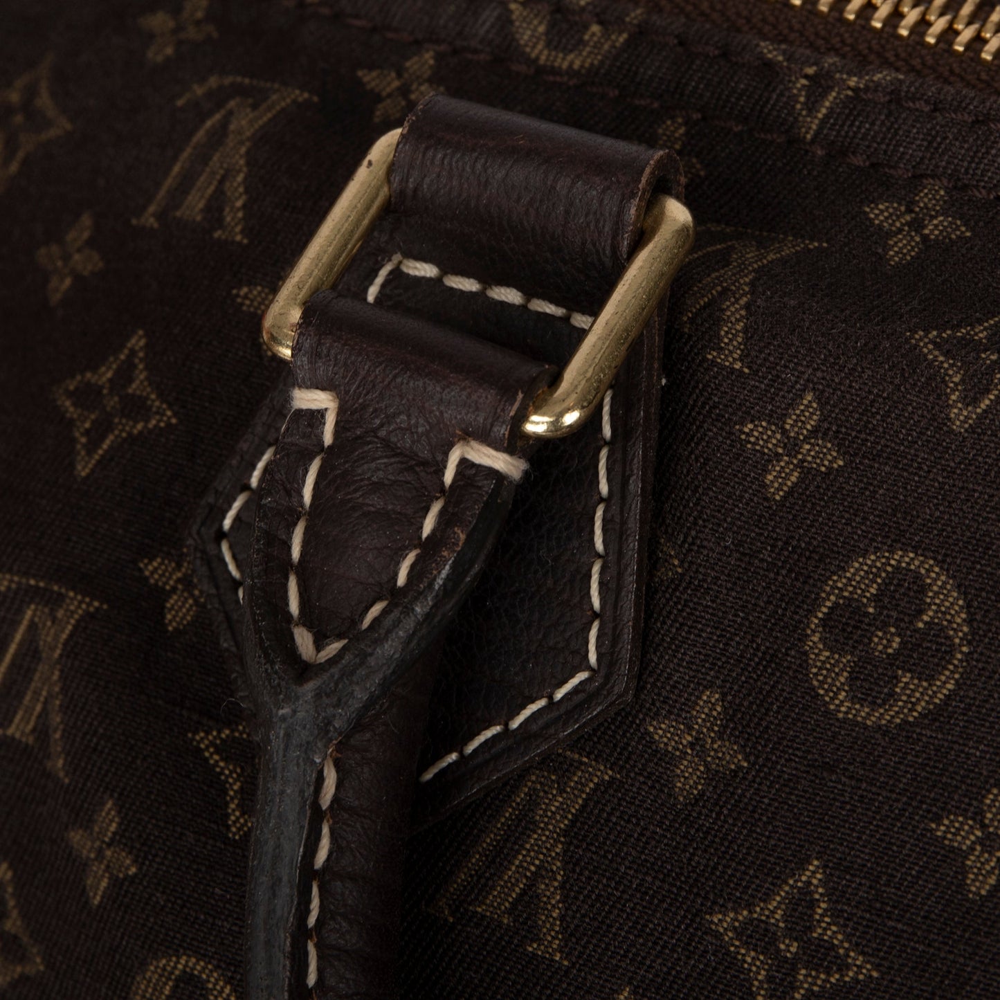 Louis Vuitton Mini Lin Speedy 30