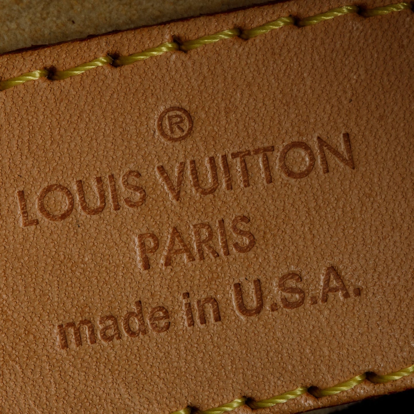 Louis Vuitton Monogram Artsy MM