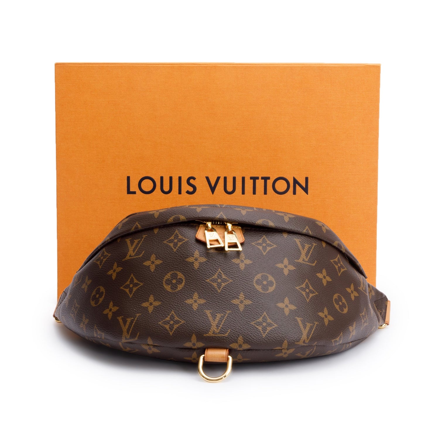 Louis Vuitton Monogram Bumbag