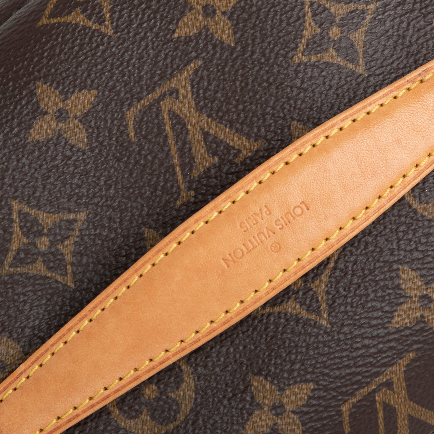 Louis Vuitton Monogram Bumbag
