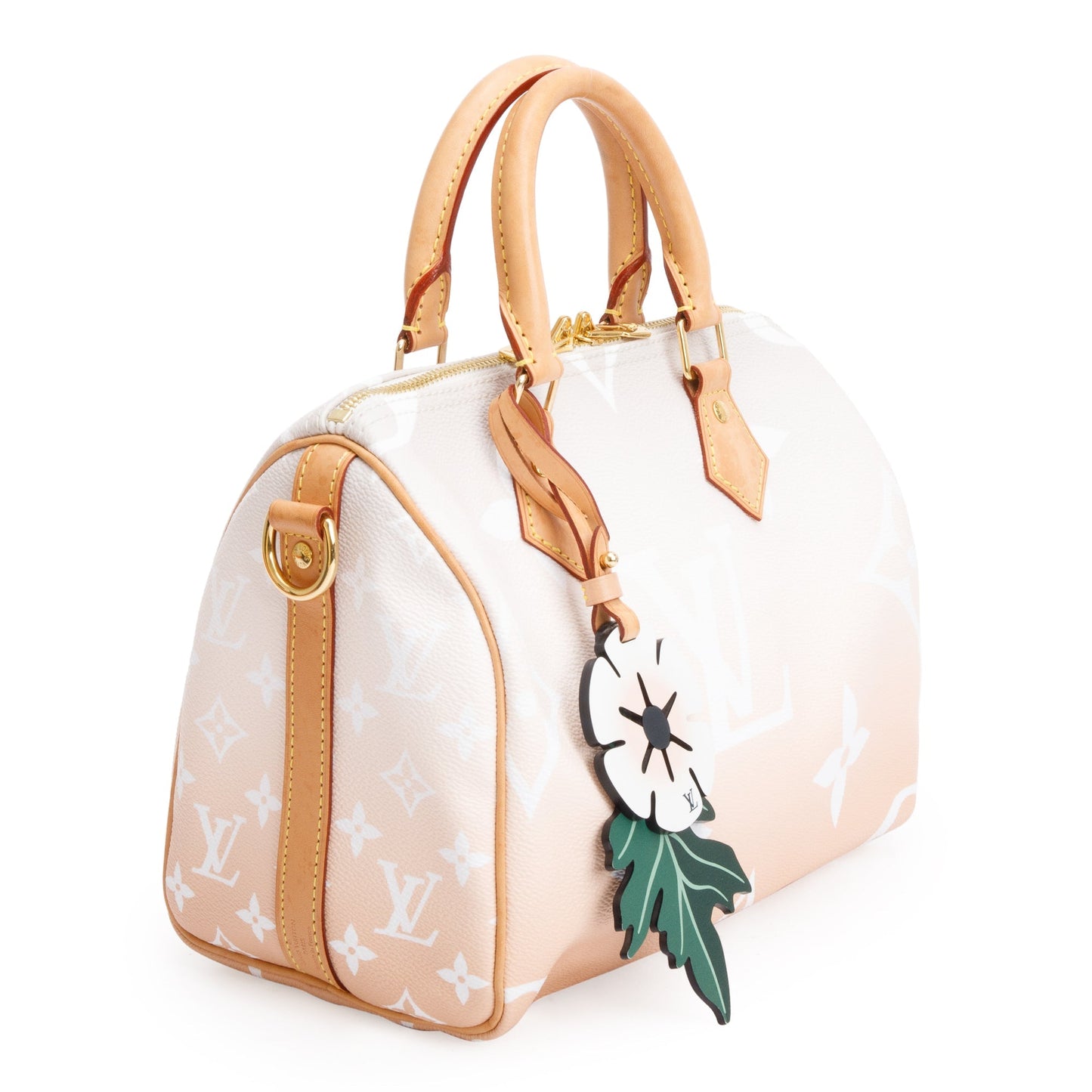 Louis Vuitton Monogram By The Pool Speedy Bandouliere 25