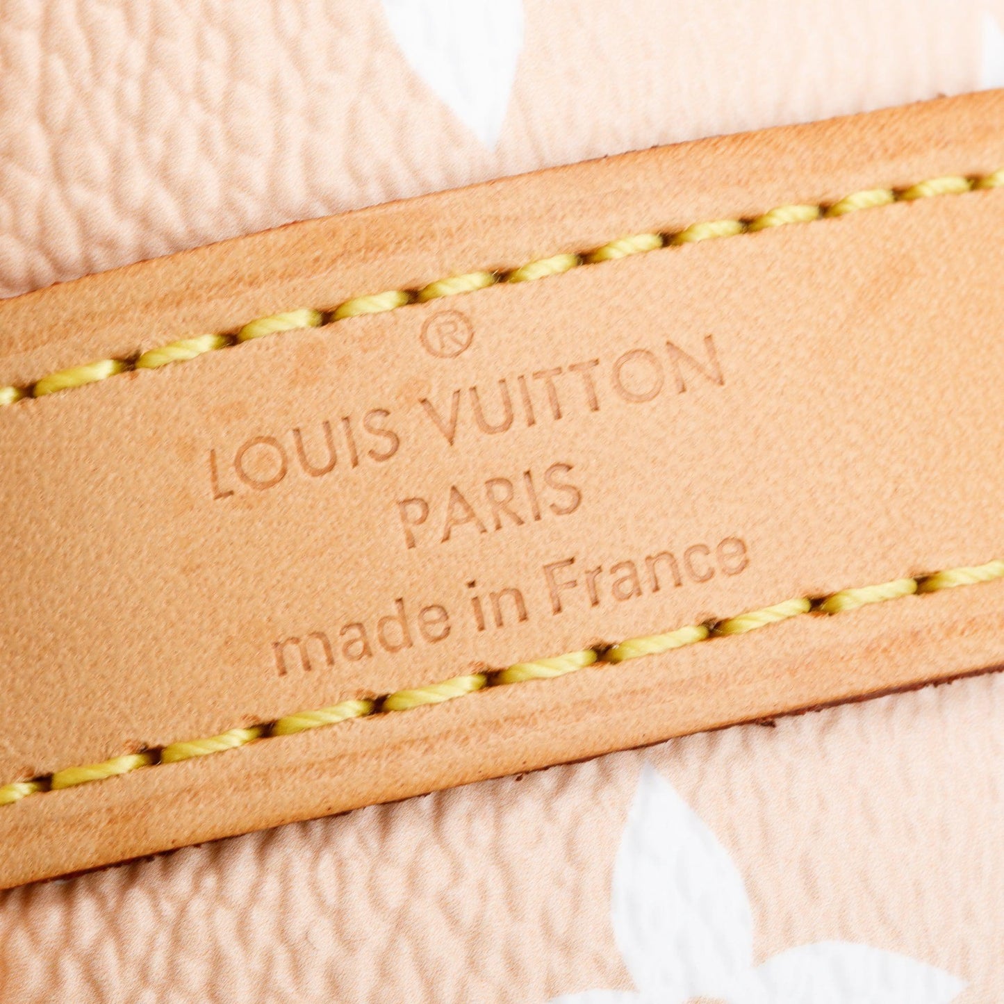 Louis Vuitton Monogram By The Pool Speedy Bandouliere 25