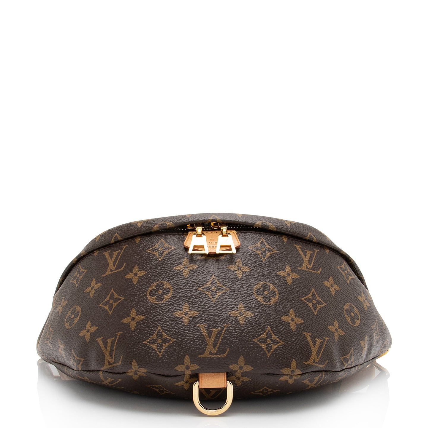 Louis Vuitton Monogram Canvas Bumbag (SHF-NGDAHd)