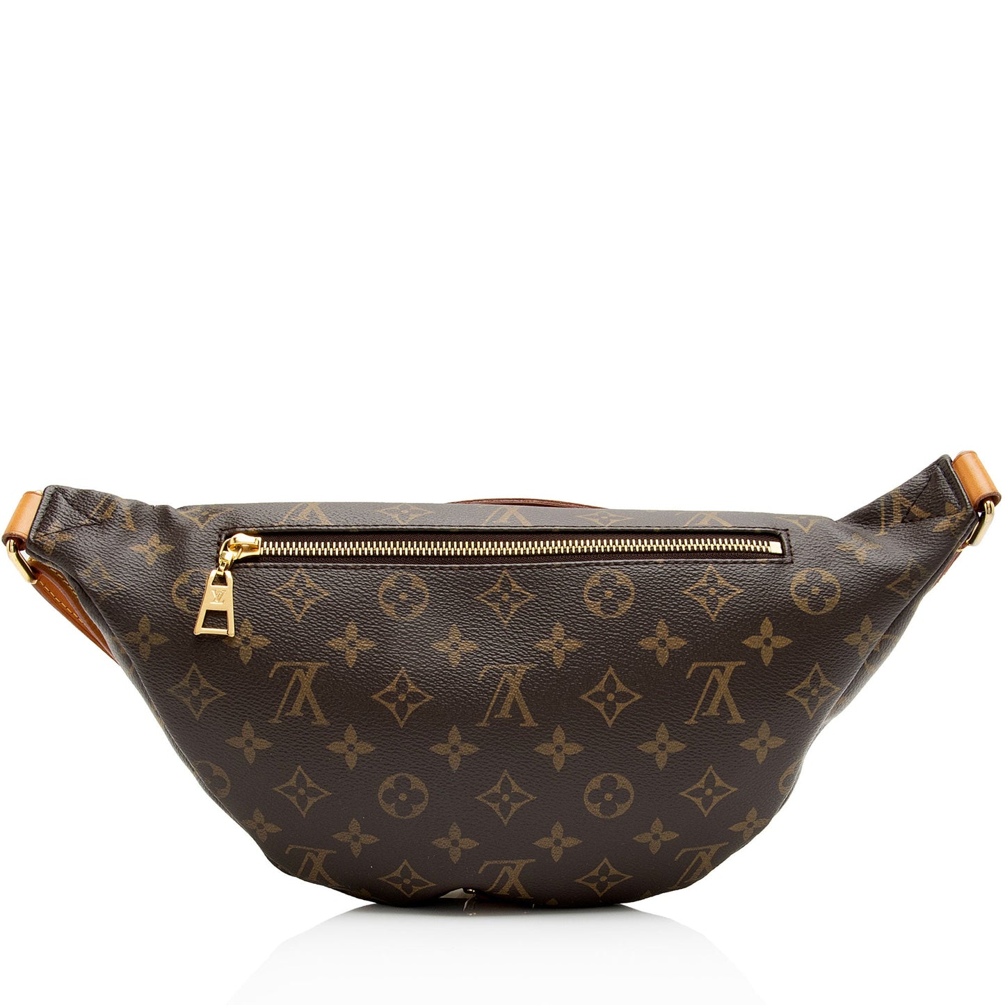 Louis Vuitton Monogram Canvas Bumbag (SHF-S8BZZN)