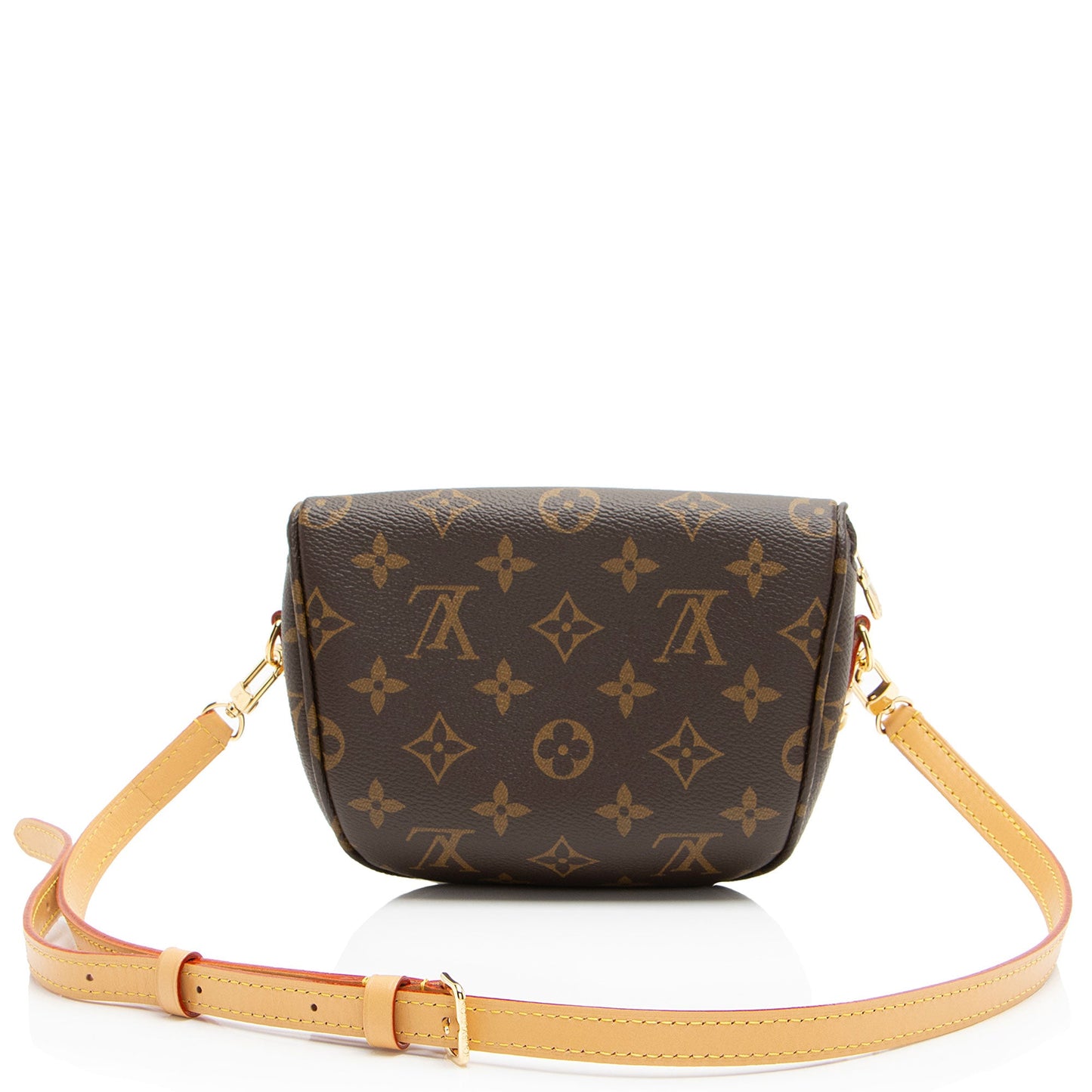 Louis Vuitton Monogram Canvas Mini Bumbag