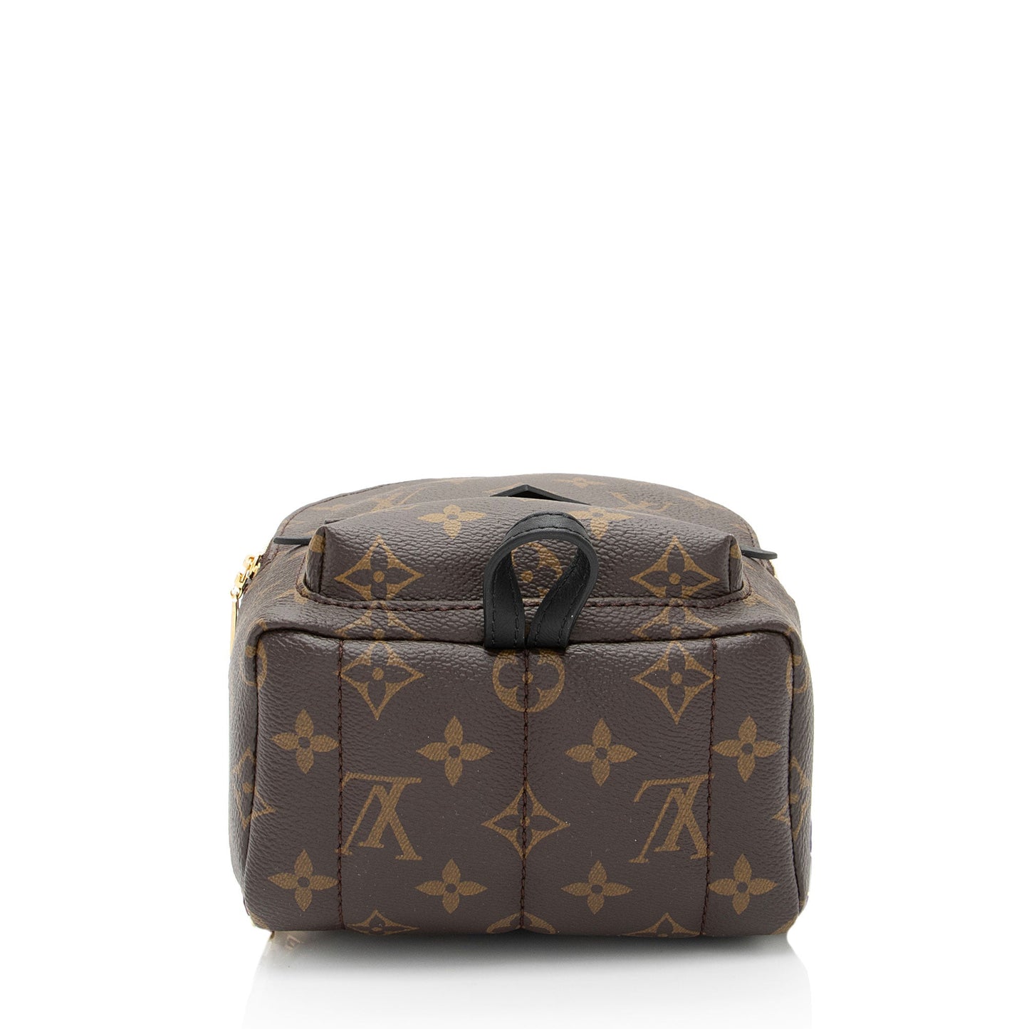 Louis Vuitton Monogram Canvas Palm Springs Mini Backpack (SHF-gAOHZi)