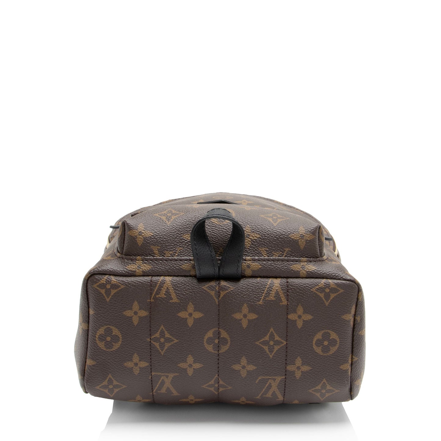 Louis Vuitton Monogram Canvas Palm Springs PM Backpack