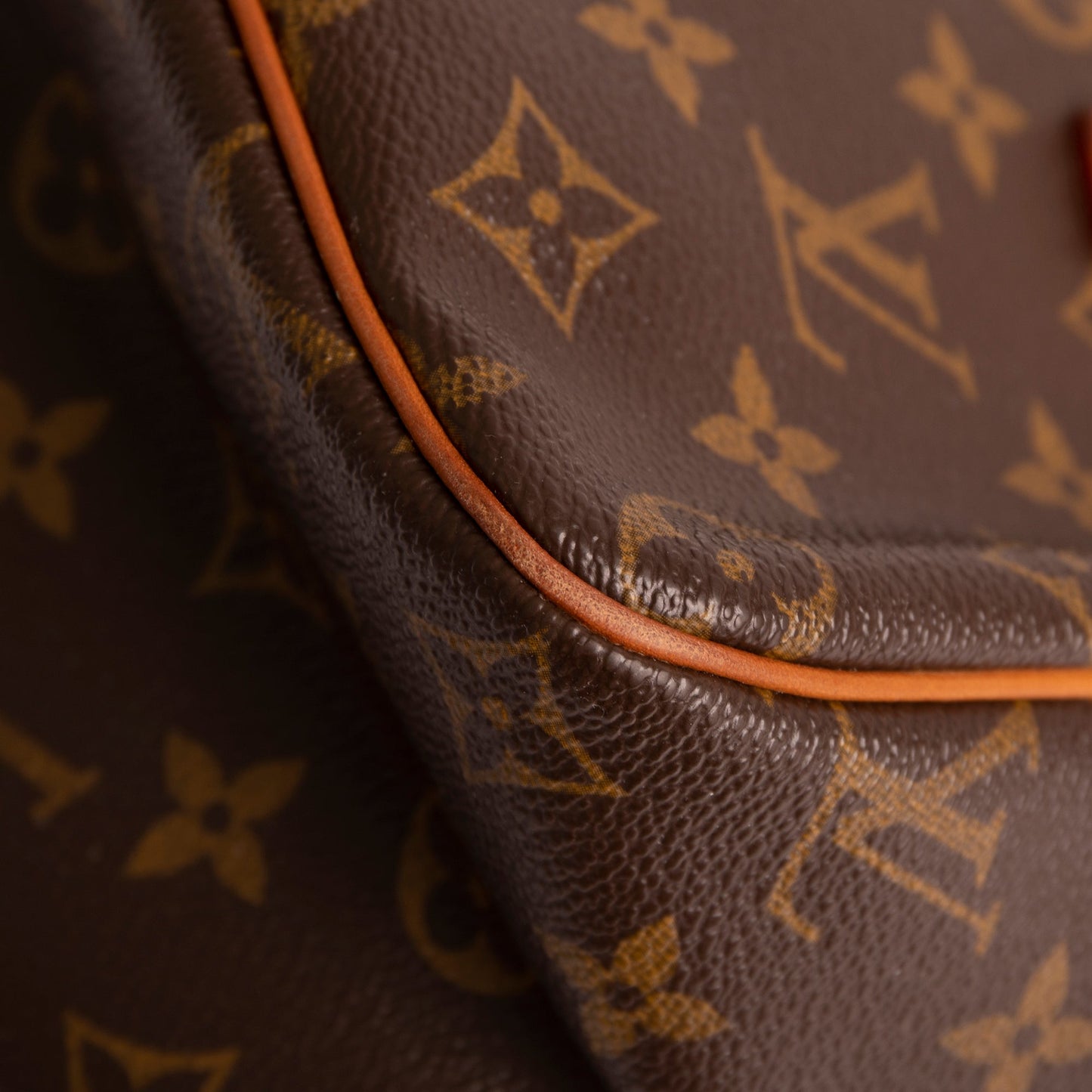 Louis Vuitton Monogram Cite MM