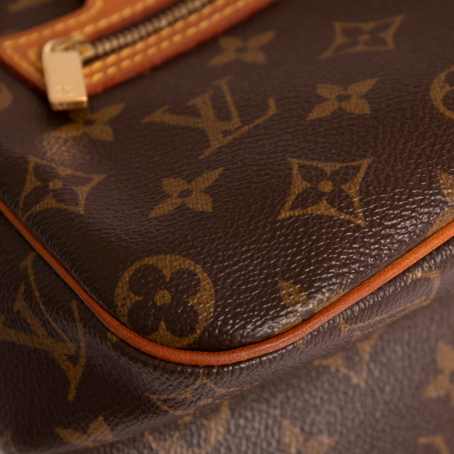 Louis Vuitton Monogram Cite MM