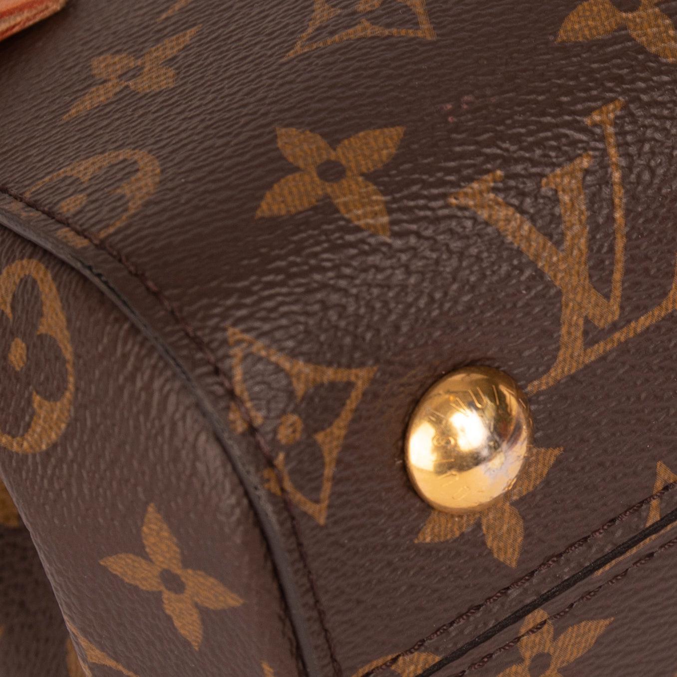 Louis Vuitton Monogram Cluny BB