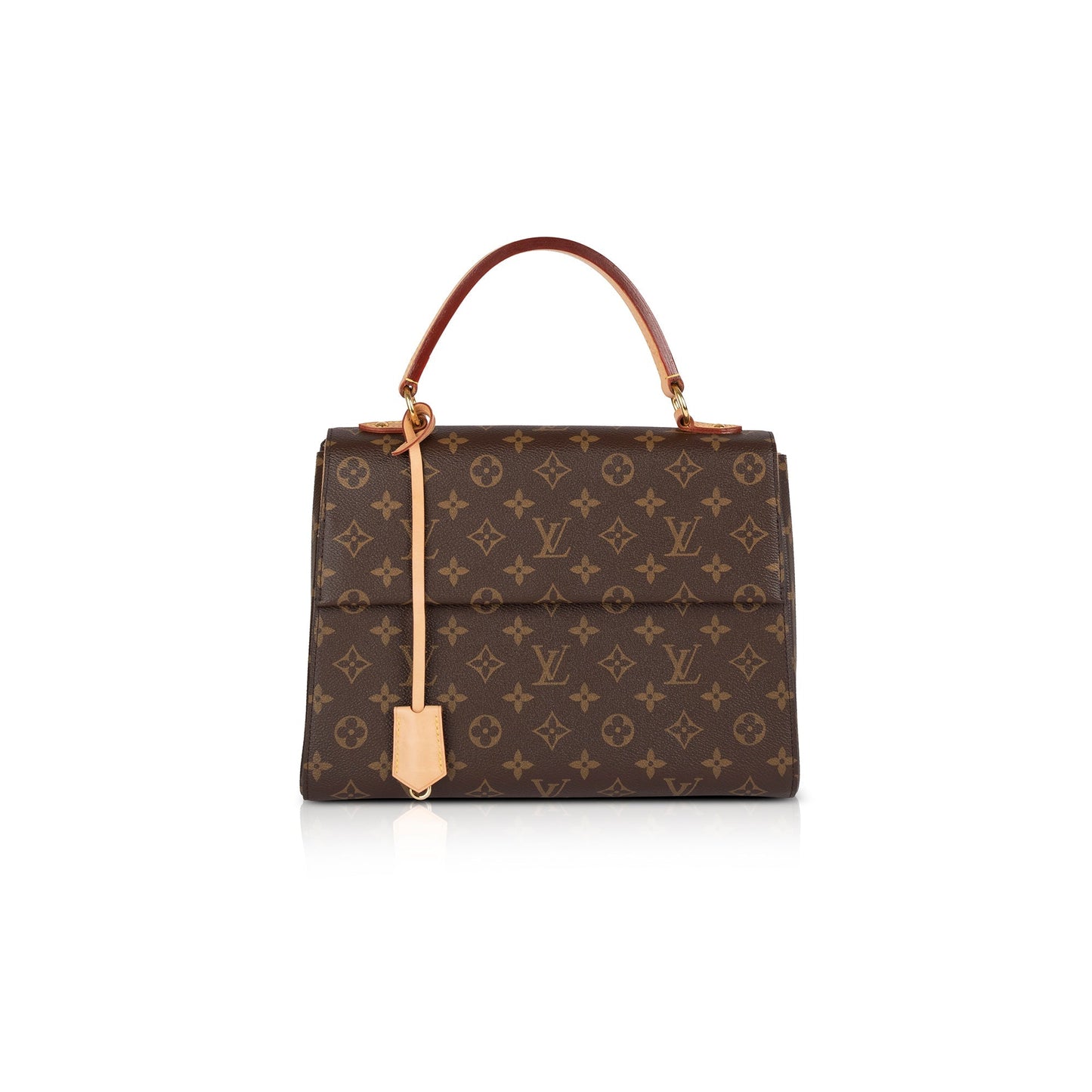Louis Vuitton Monogram Cluny MM