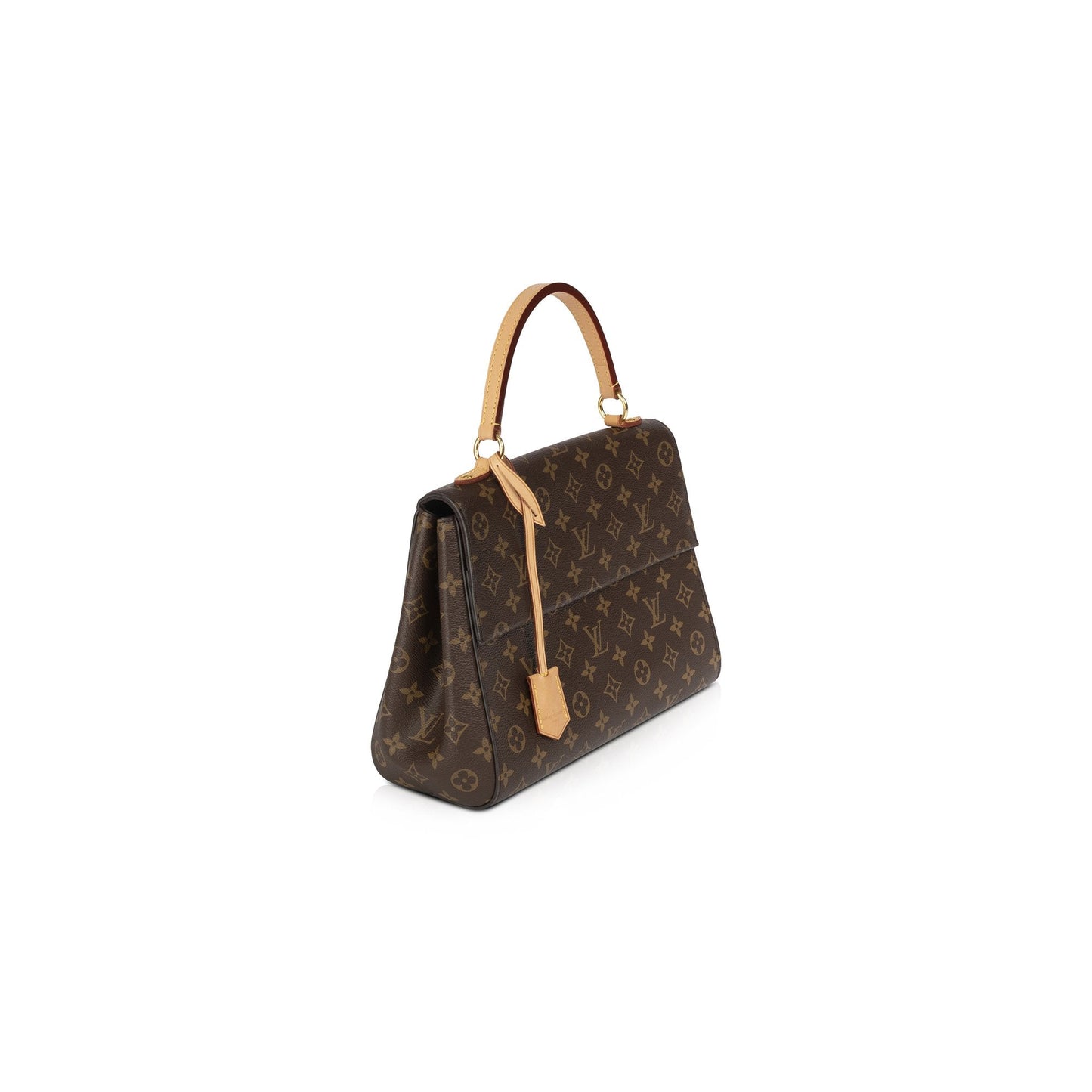 Louis Vuitton Monogram Cluny MM