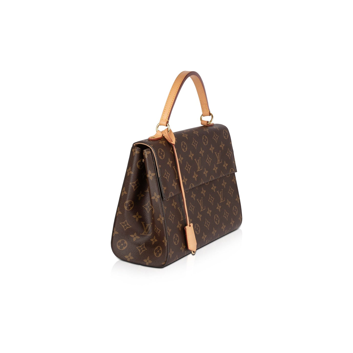 Louis Vuitton Monogram Cluny MM