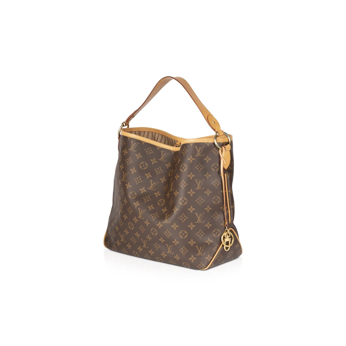 Louis Vuitton Monogram Delighful MM Hobo