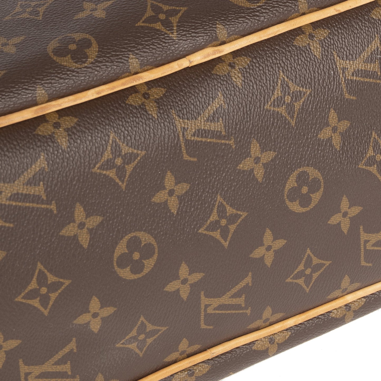 Louis Vuitton Monogram Delighful MM Hobo