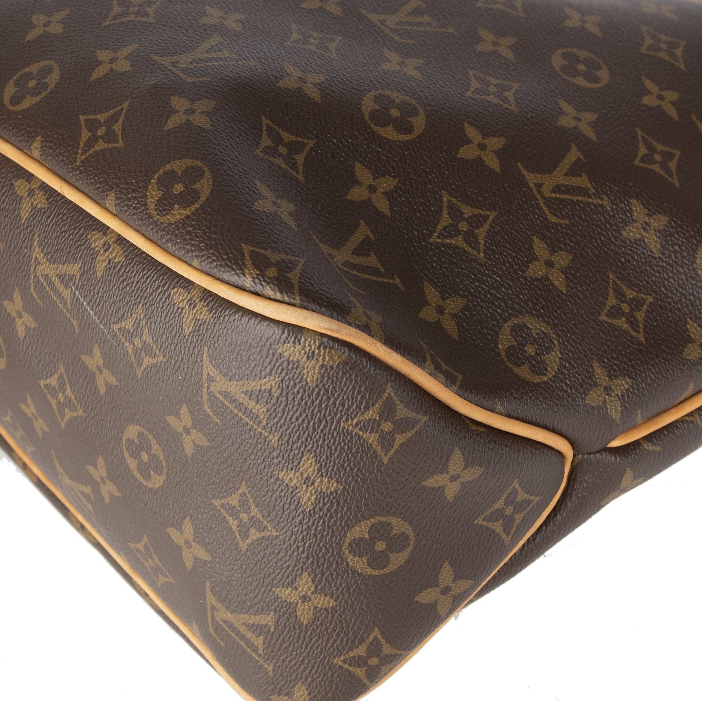 Louis Vuitton Monogram Delighful MM Hobo
