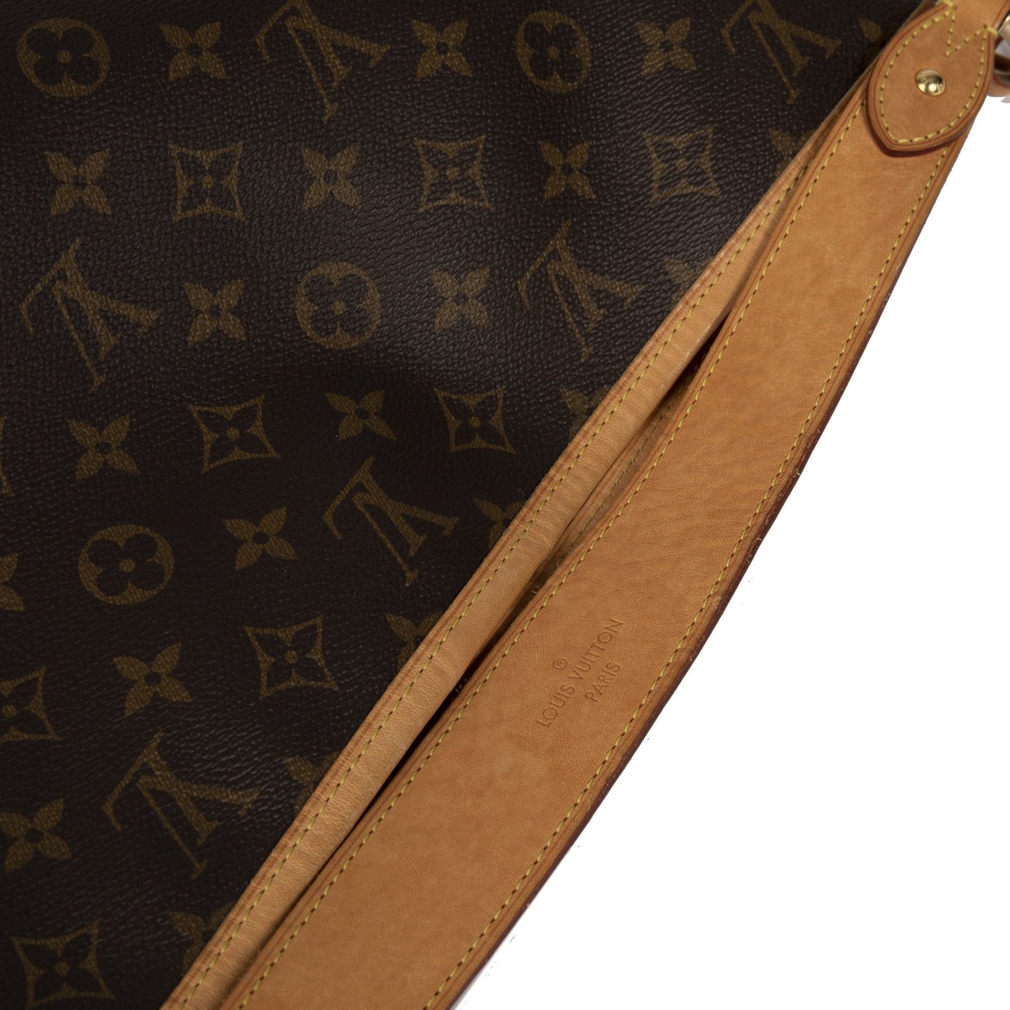 Louis Vuitton Monogram Delighful MM Hobo