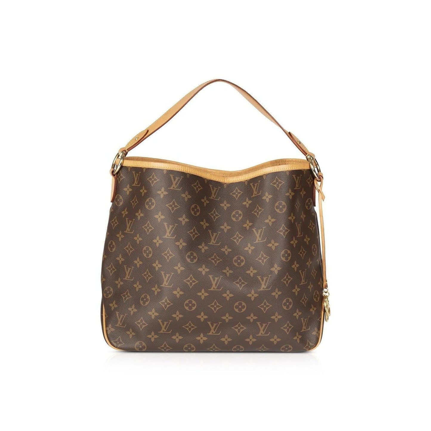 Louis Vuitton Monogram Delighful MM Hobo