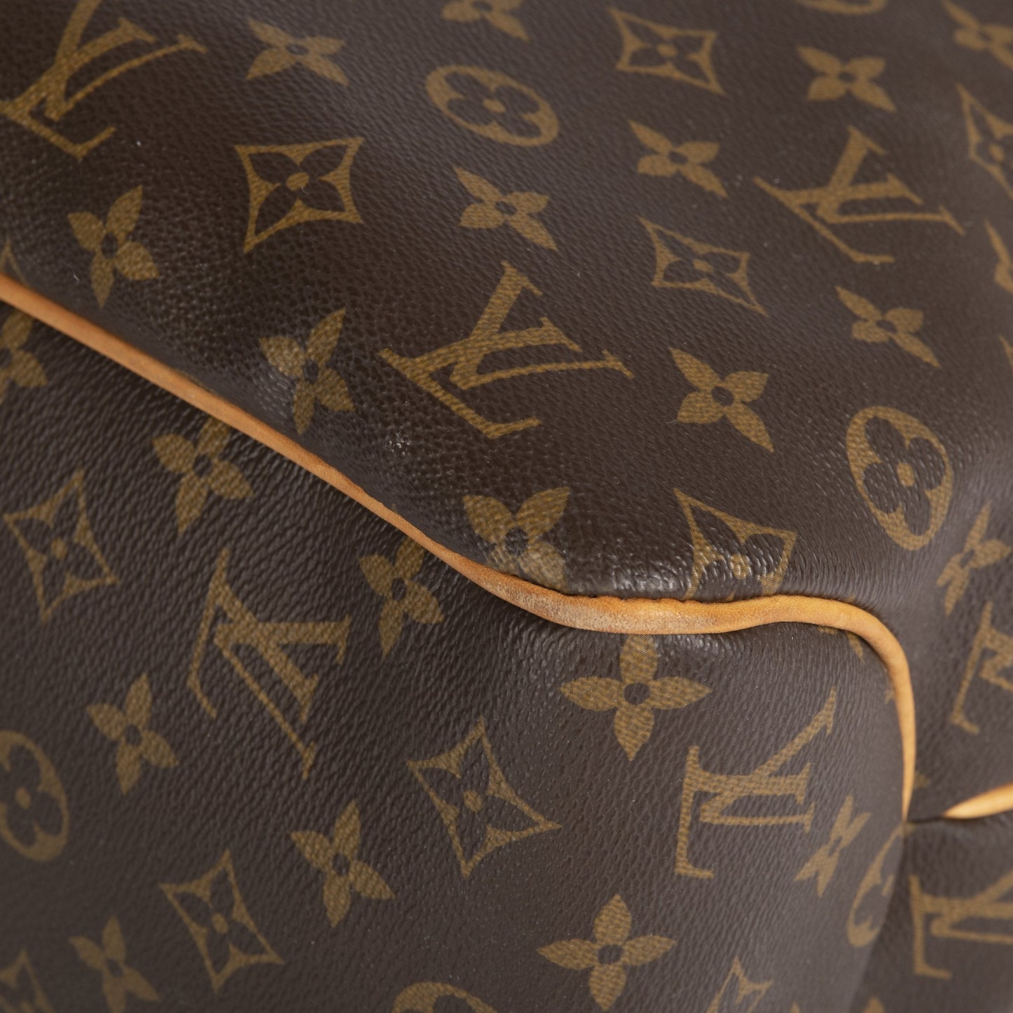 Louis Vuitton Monogram Delightful MM