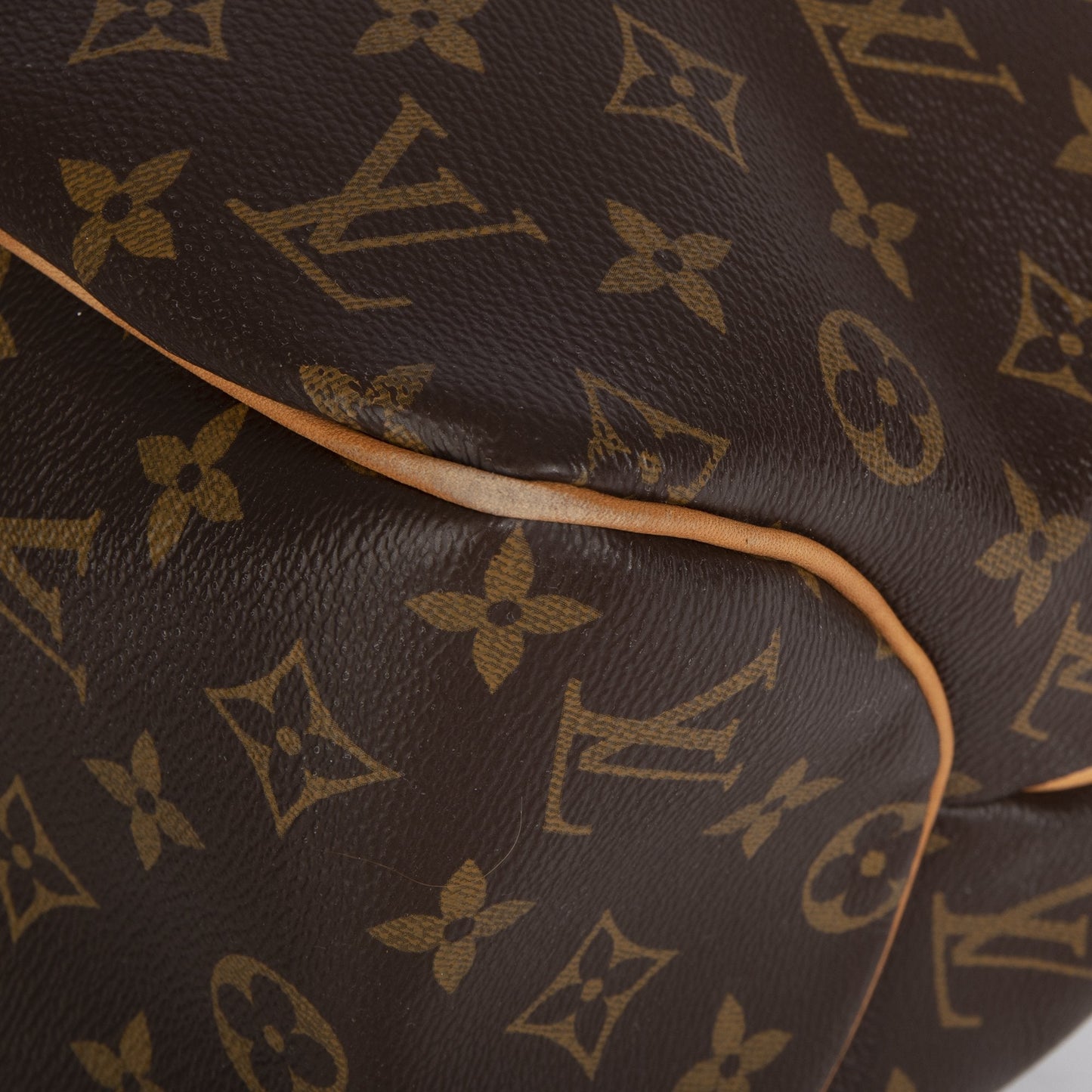Louis Vuitton Monogram Delightful MM
