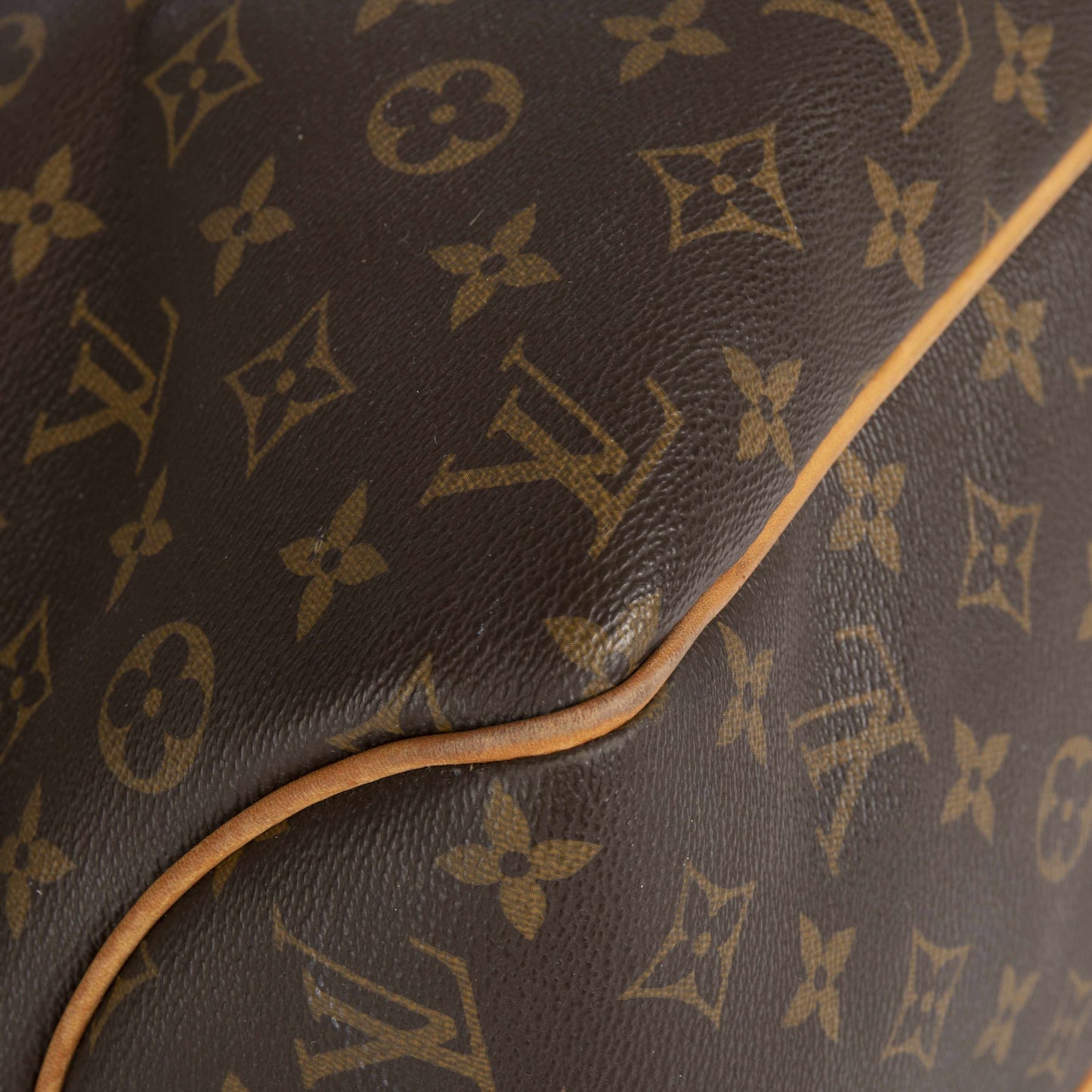 Louis Vuitton Monogram Delightful MM