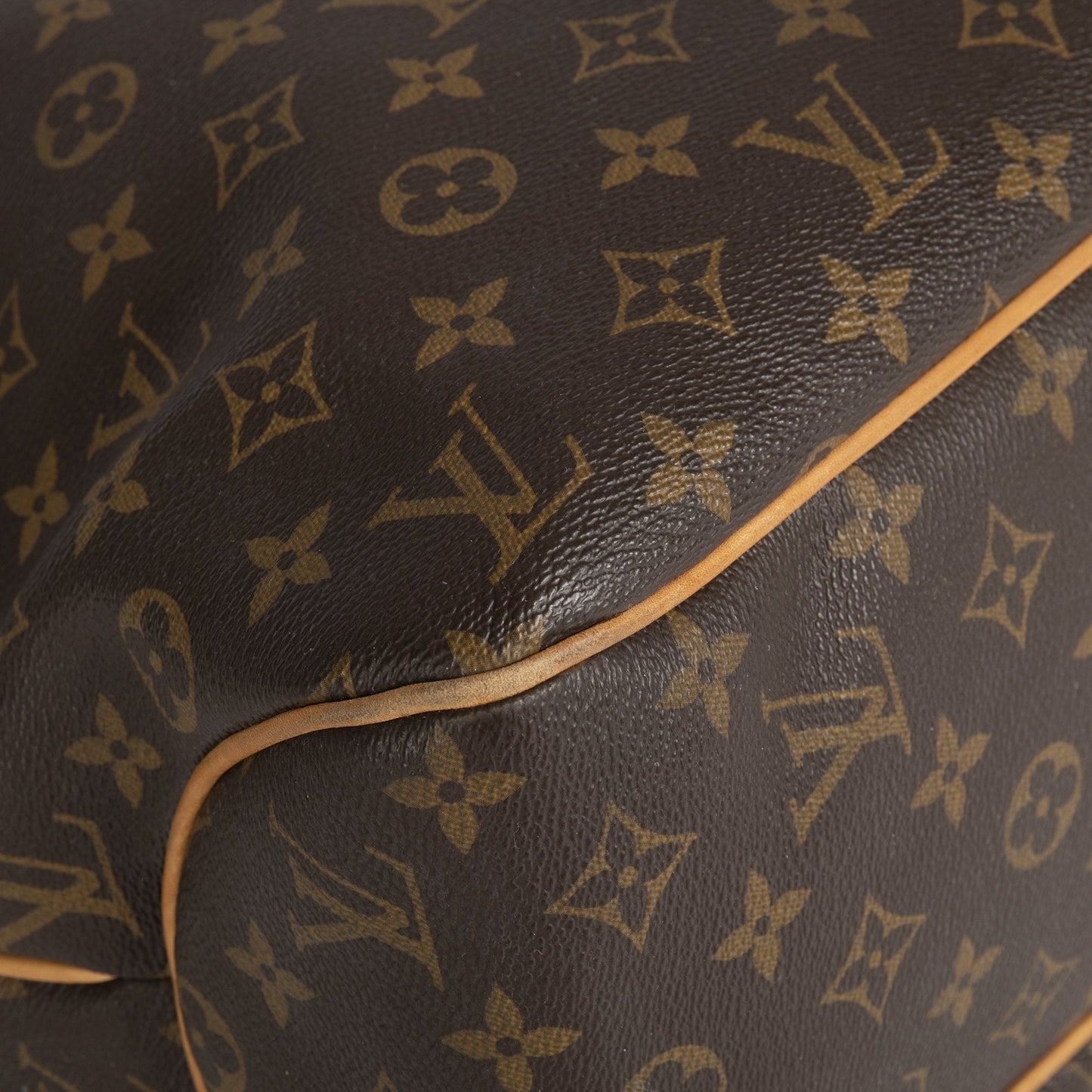 Louis Vuitton Monogram Delightful MM