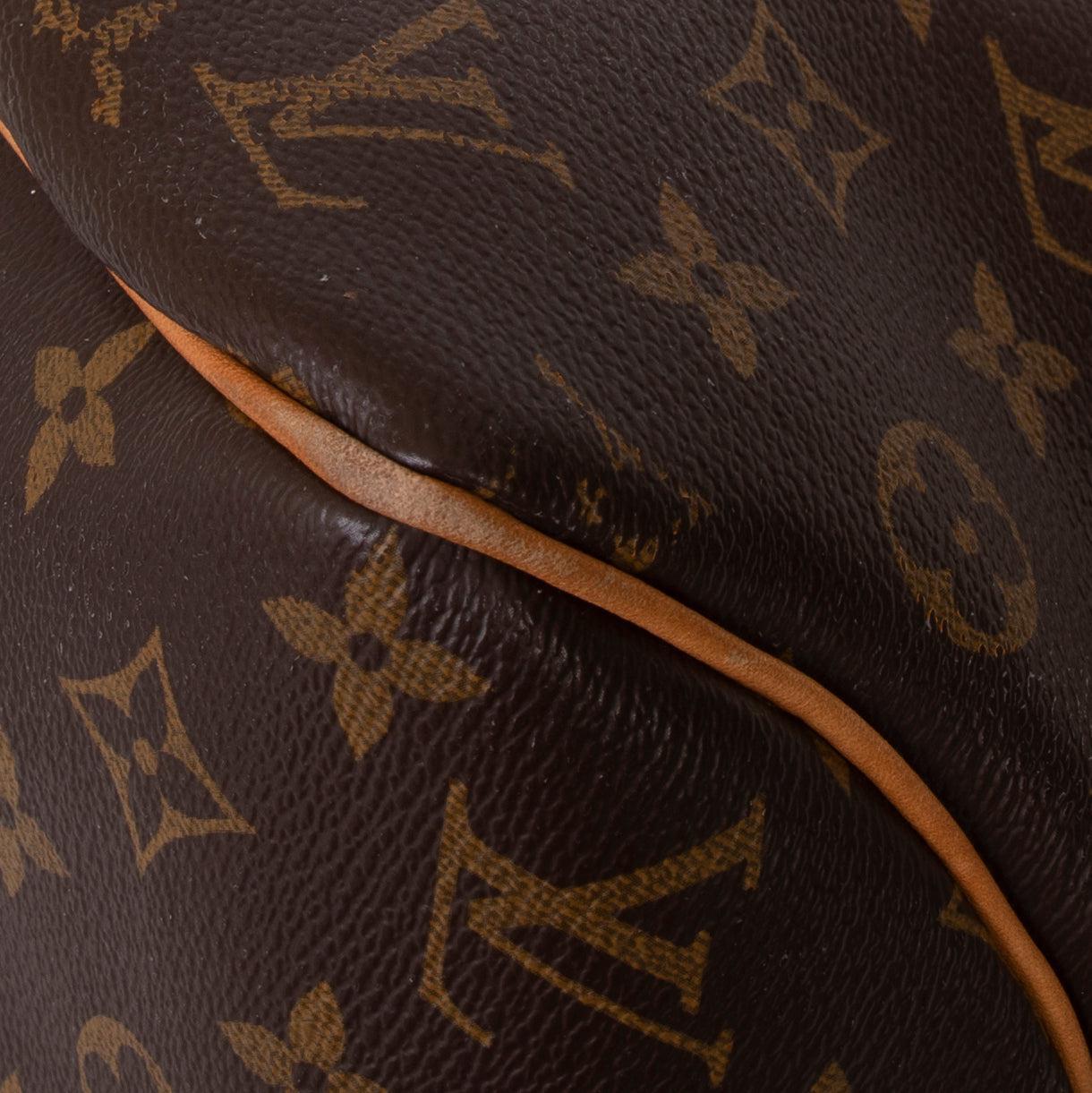 Louis Vuitton Monogram Delightful MM