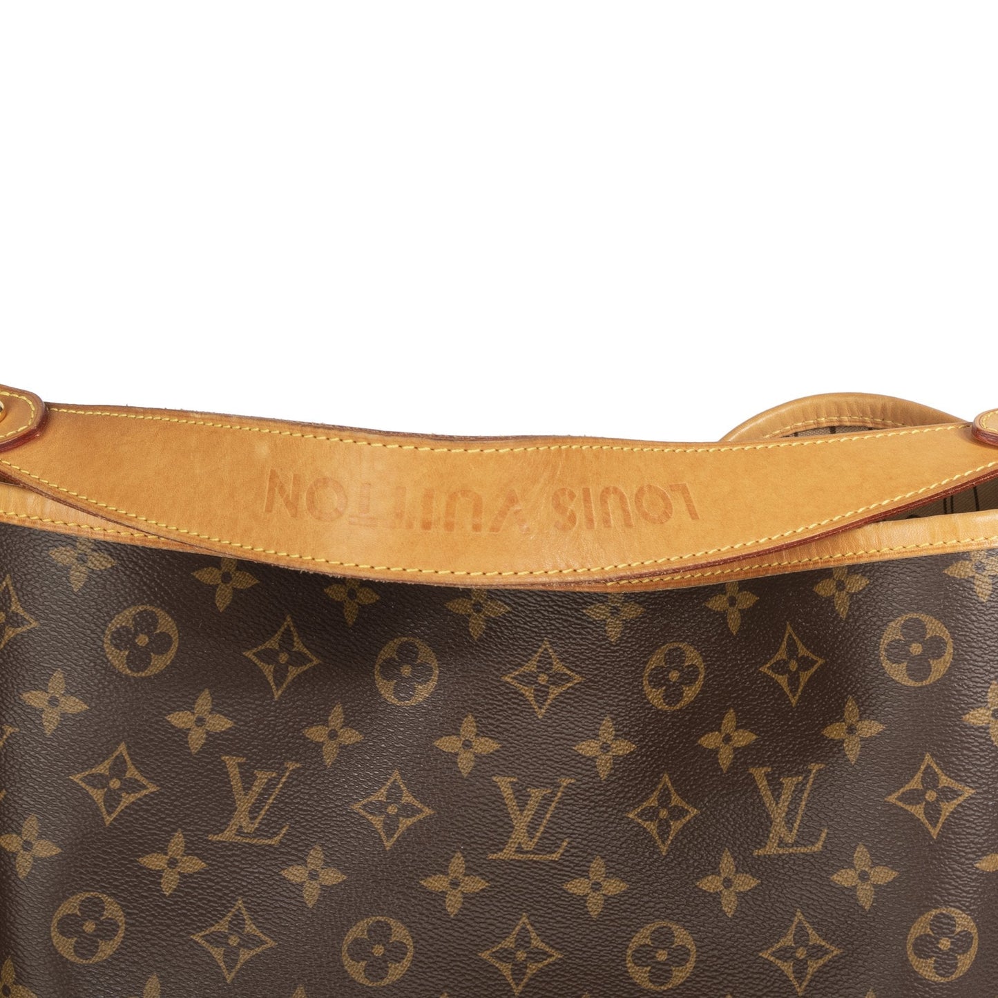 Louis Vuitton Monogram Delightful MM