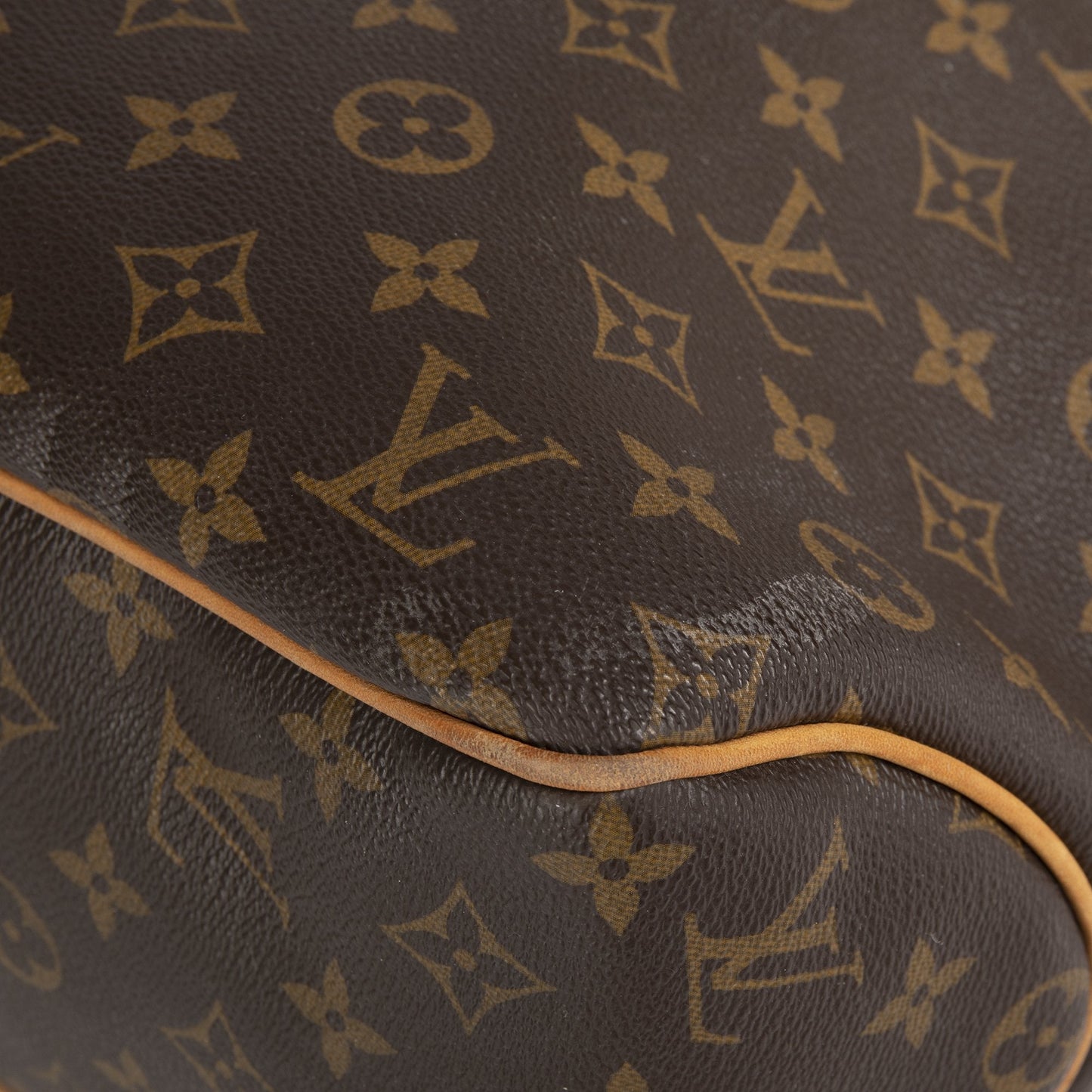 Louis Vuitton Monogram Delightful MM