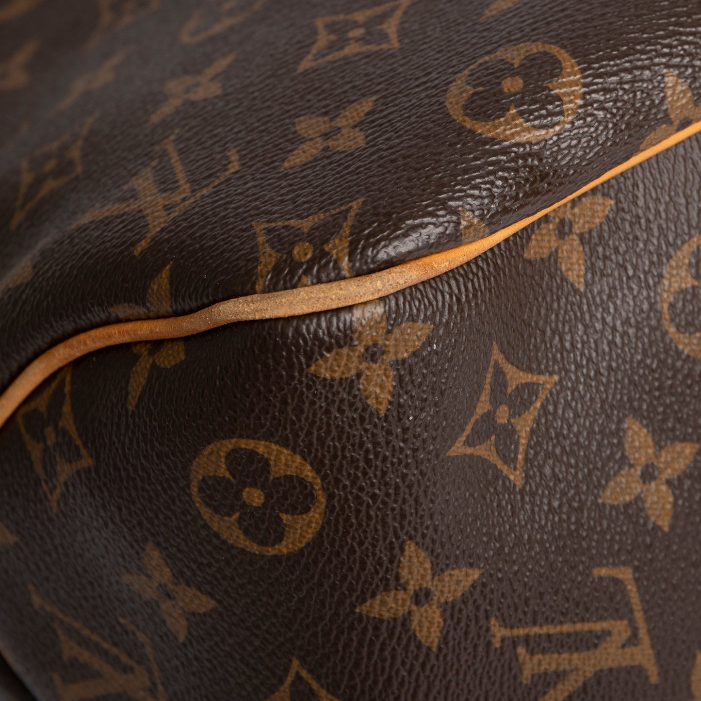 Louis Vuitton Monogram Delightful PM