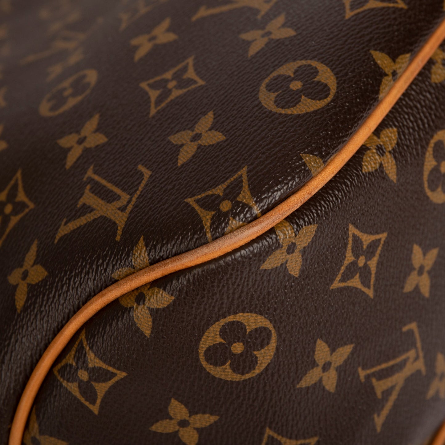 Louis Vuitton Monogram Delightful PM