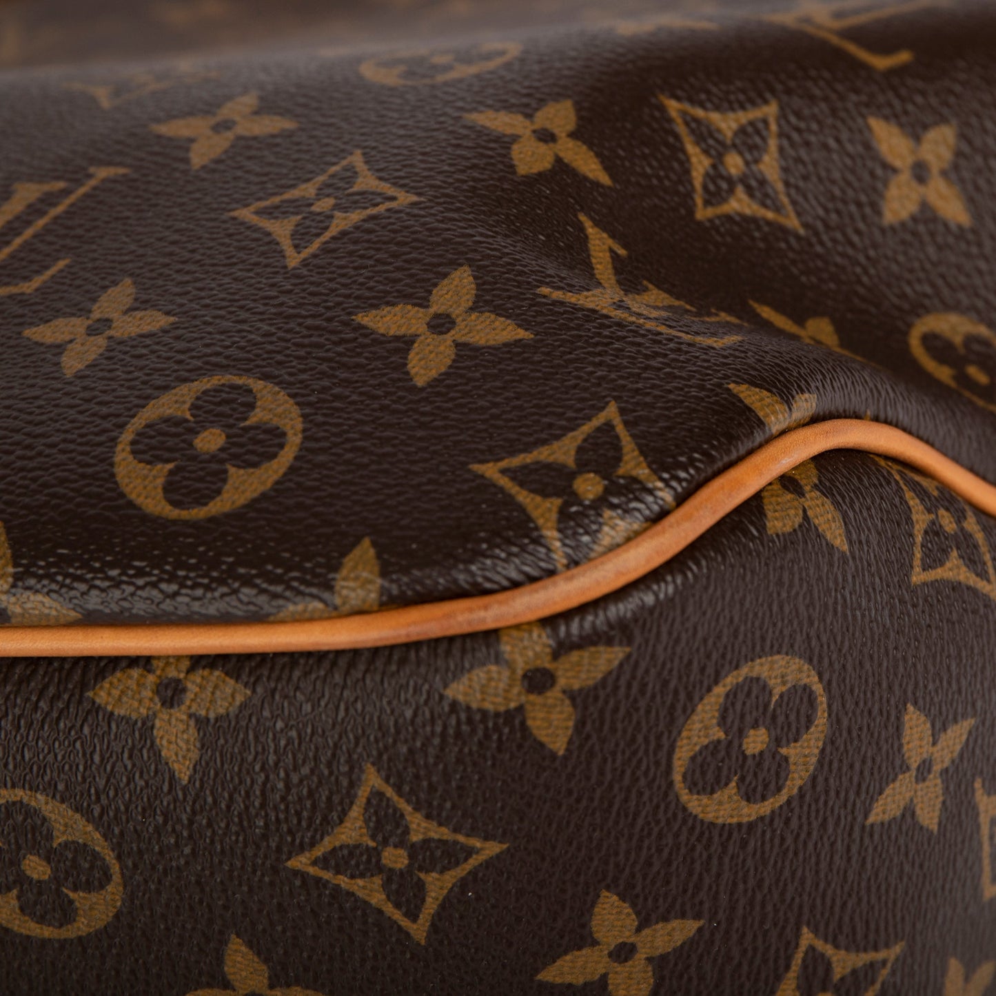 Louis Vuitton Monogram Delightful PM