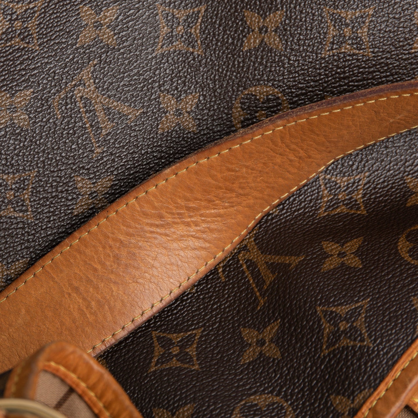 Louis Vuitton Monogram Delightful PM