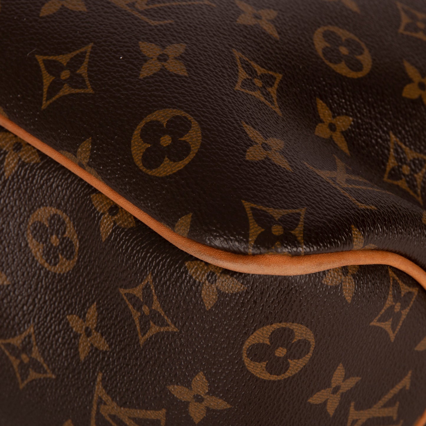 Louis Vuitton Monogram Delightful PM