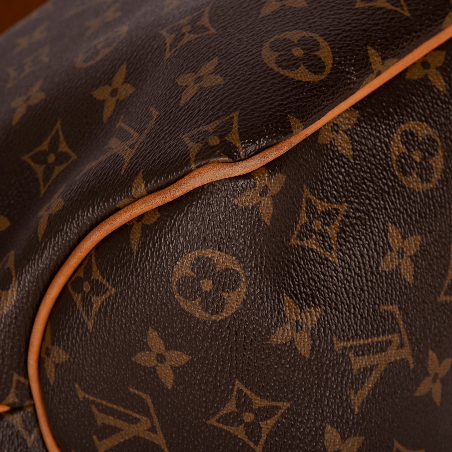 Louis Vuitton Monogram Delightful PM