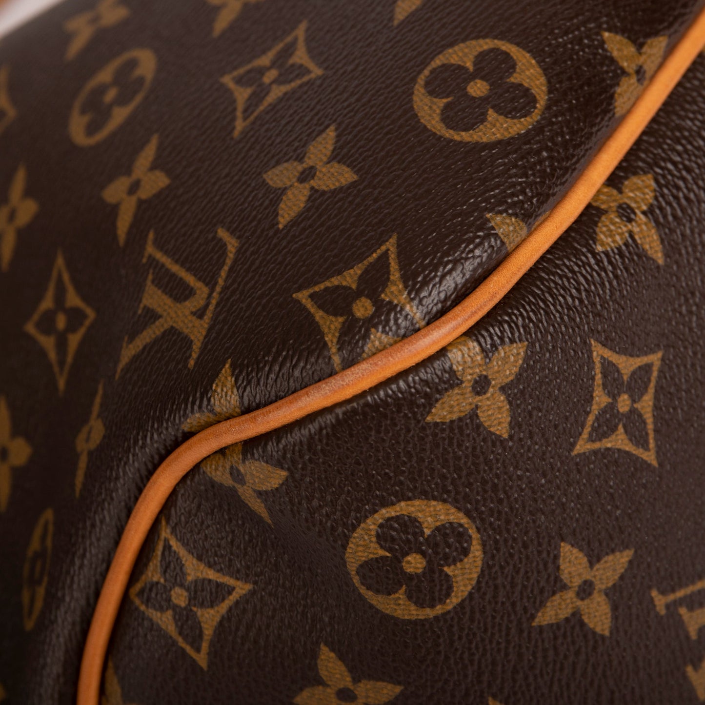 Louis Vuitton Monogram Delightful PM