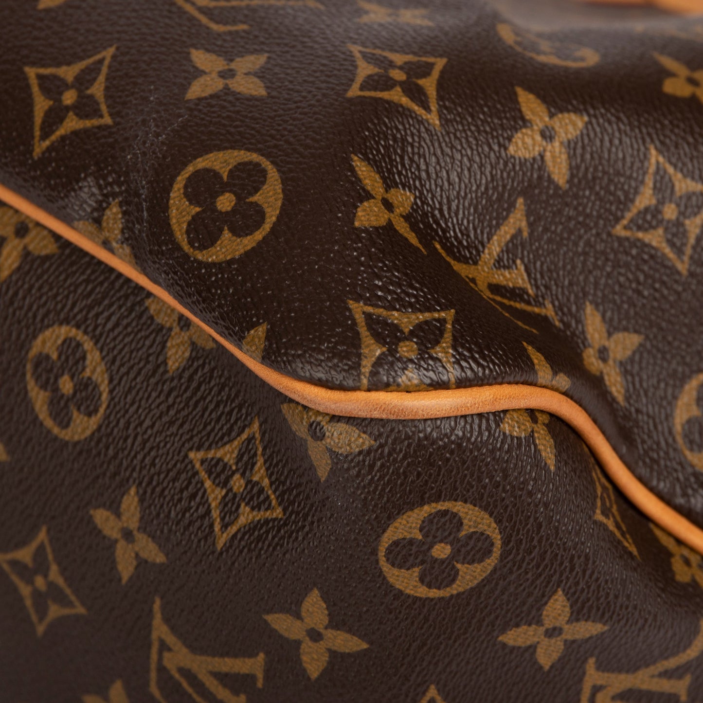 Louis Vuitton Monogram Delightful PM