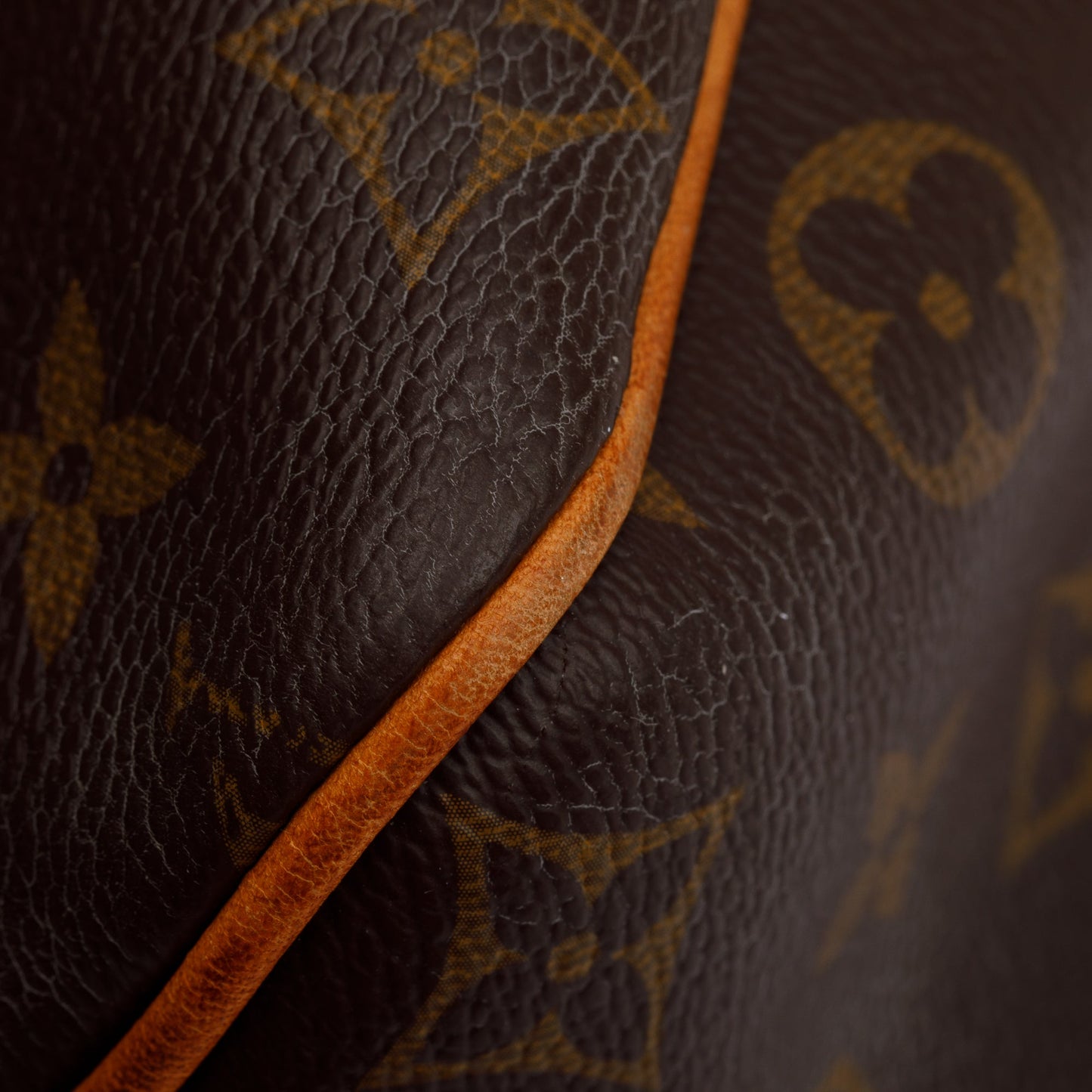 Louis Vuitton Monogram Delightful PM Bag