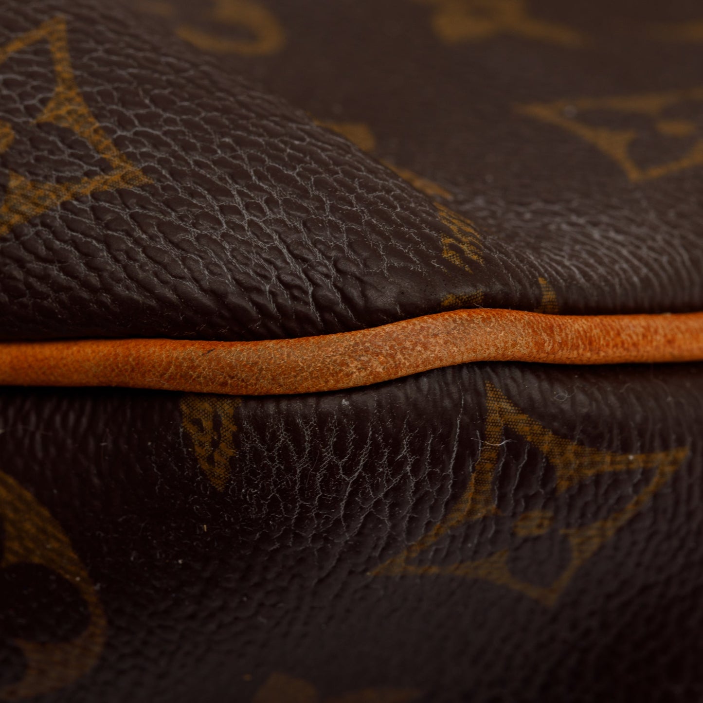 Louis Vuitton Monogram Delightful PM Bag