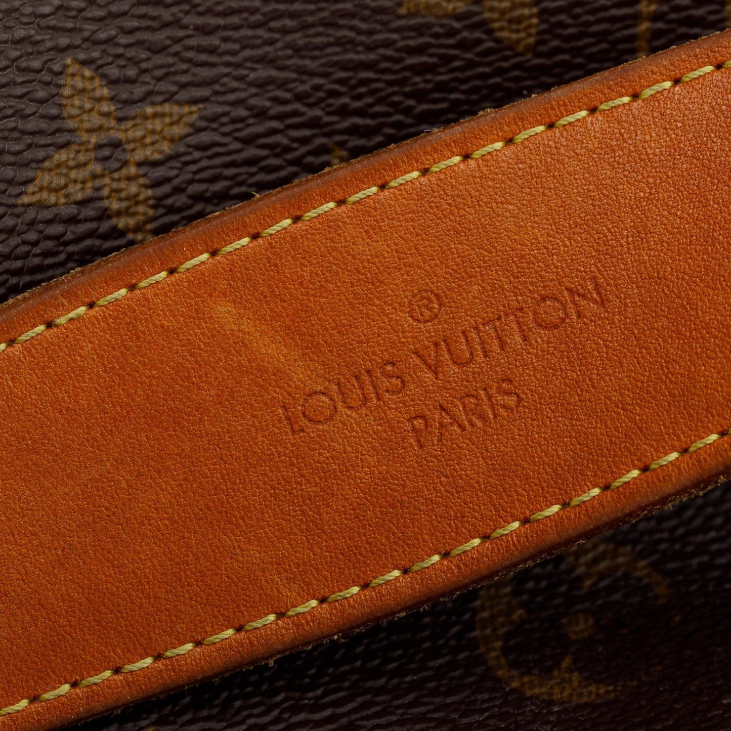 Louis Vuitton Monogram Delightful PM Bag