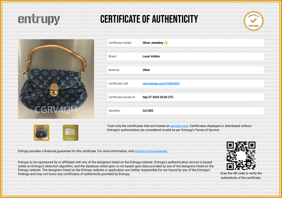 Louis Vuitton Monogram Denim Small Pleaty Bag