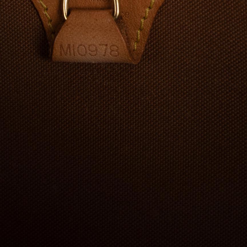 Louis Vuitton Monogram Ellipse MM