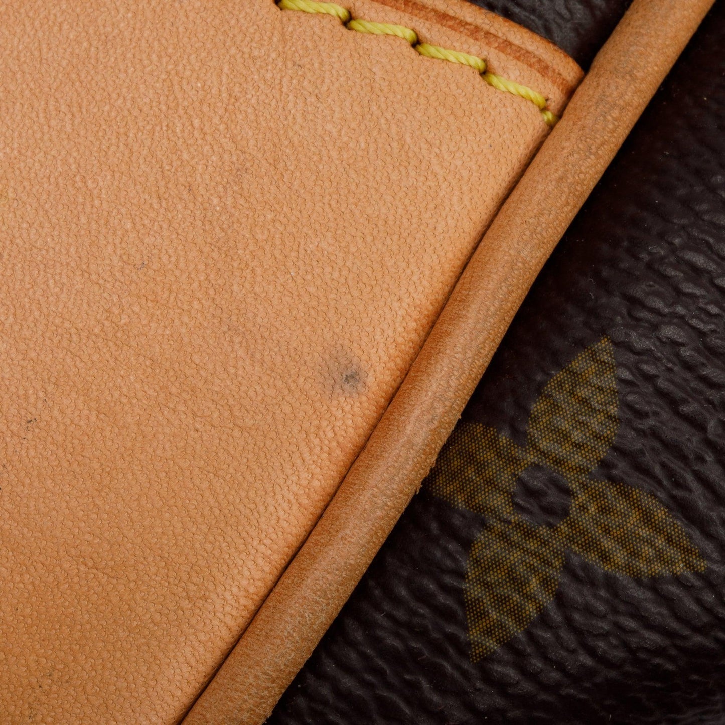 Louis Vuitton Monogram Estrella Tote
